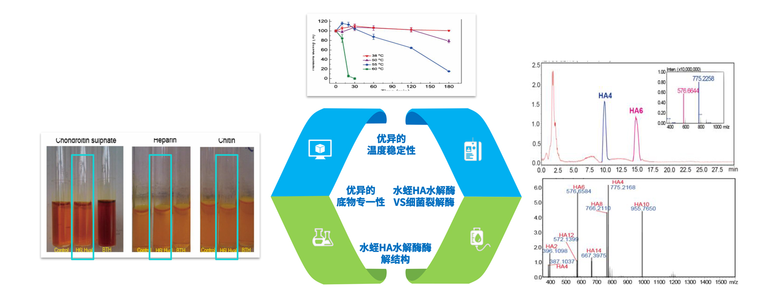 弘康未來-產品介紹2024-8.jpg